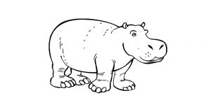 Dibujos de hipopótamos para colorear