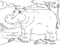 Dibujos de hipopótamos