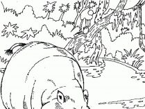 Pintar dibujos de hipopótamos